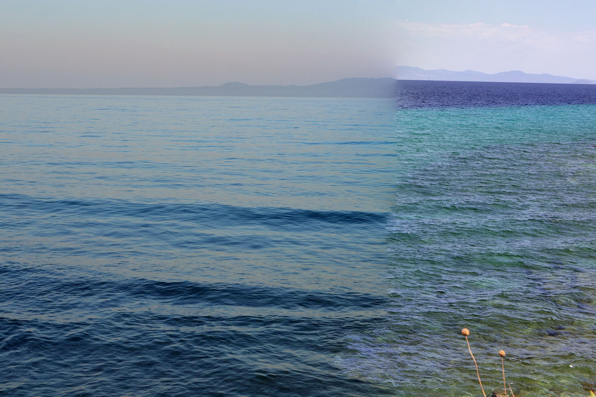 Untitled_Panorama 326